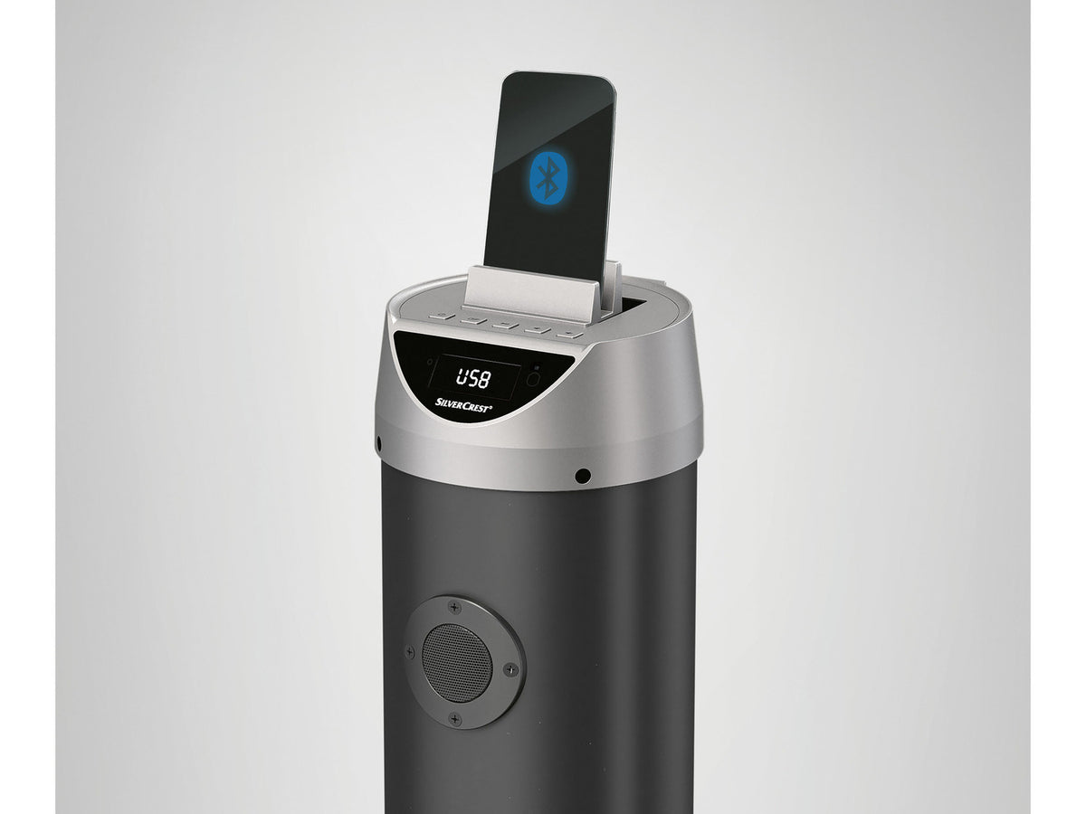 Enceinte tour Bluetooth SSTB 30 A1