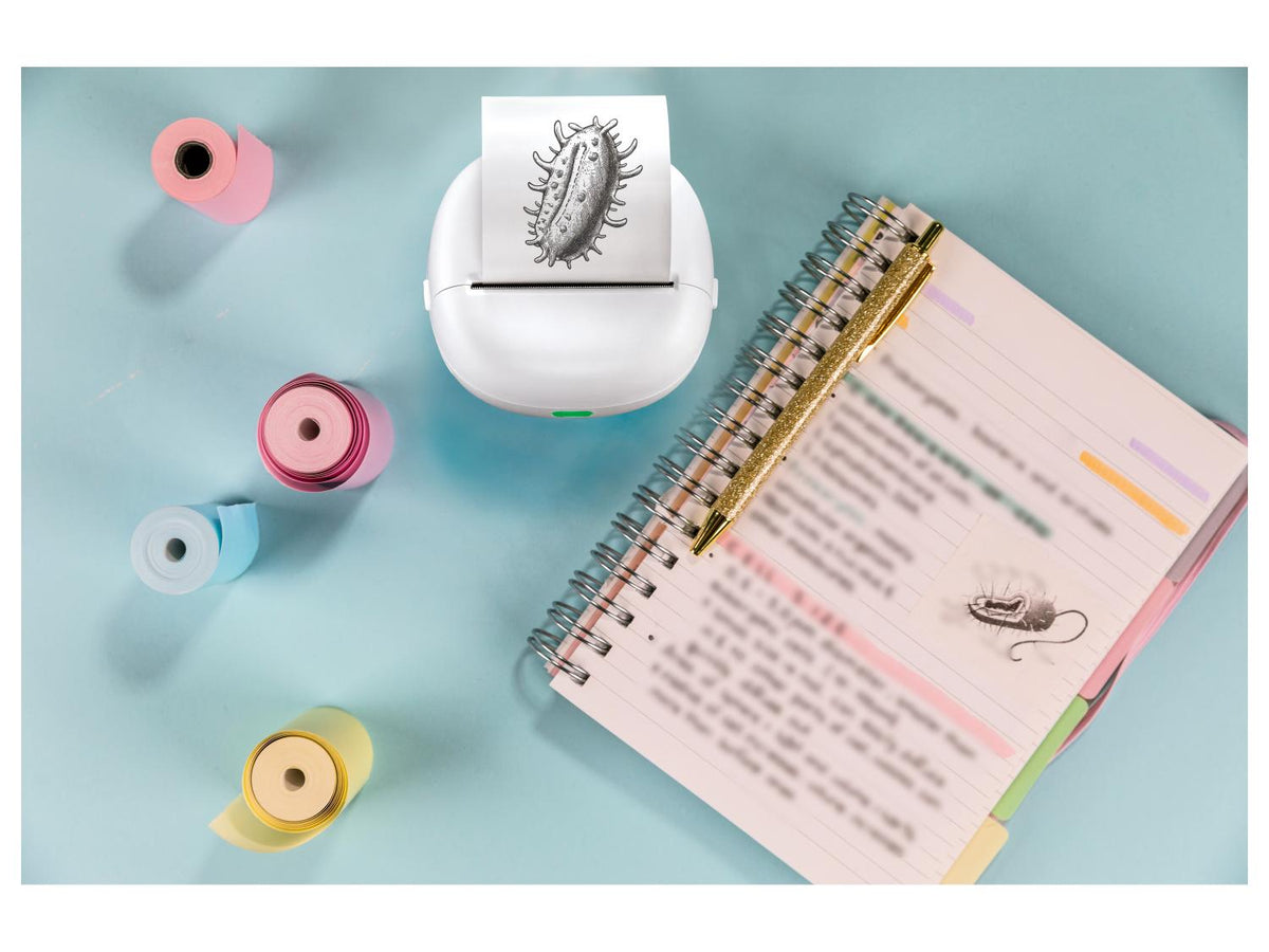 Mini-imprimante de poche, avec rouleau de papier de 7,8 m
