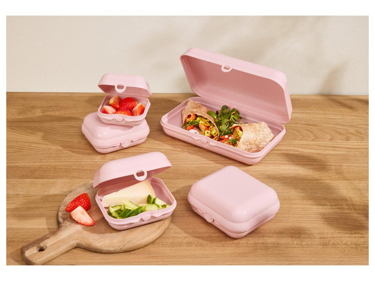 Set de 5 boîtes repas
