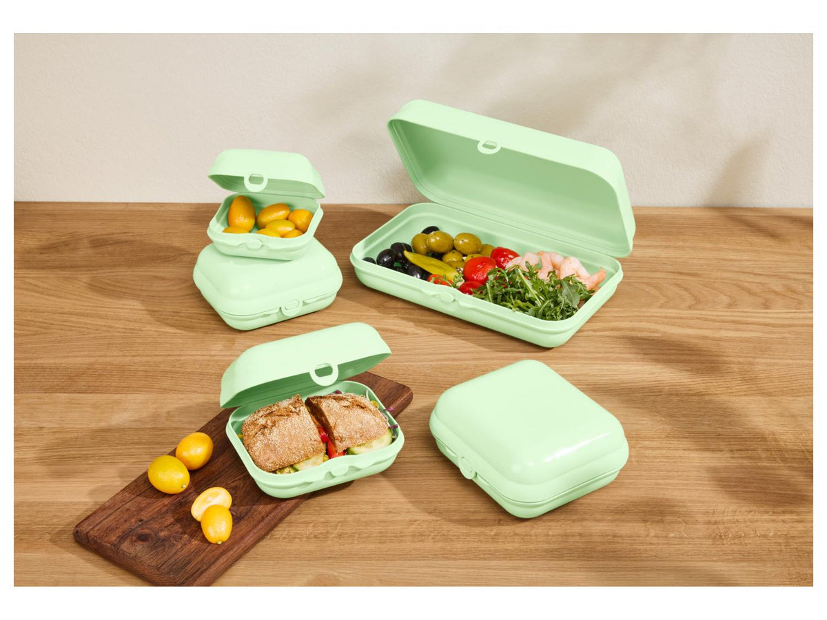 Set de 5 boîtes repas