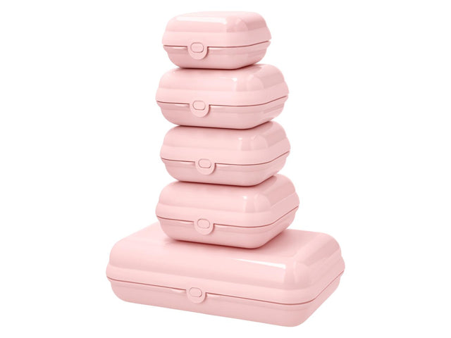 Set de 5 boîtes repas