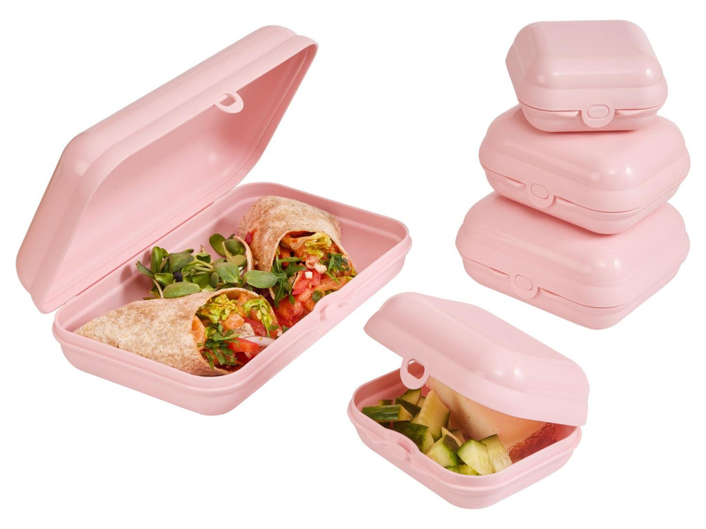 Set de 5 boîtes repas
