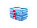 Lot de 2 ou 3 boîtes de conservation Clip & Close