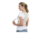 Ceinture dorsale