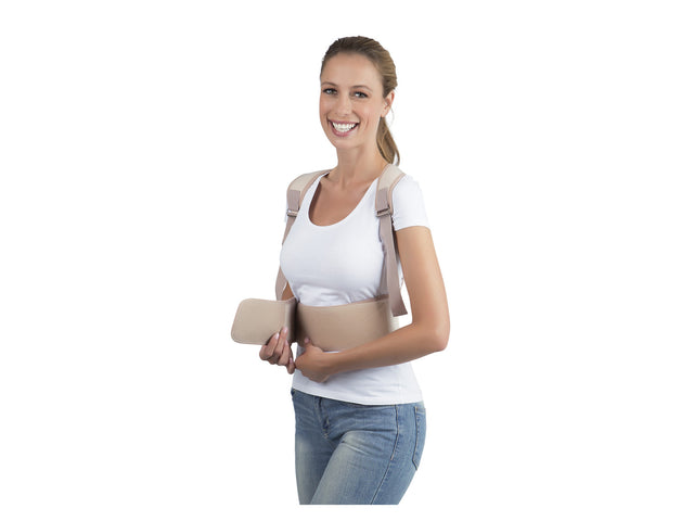 Ceinture dorsale