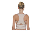 Ceinture dorsale