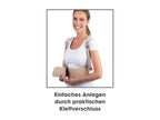 Ceinture dorsale