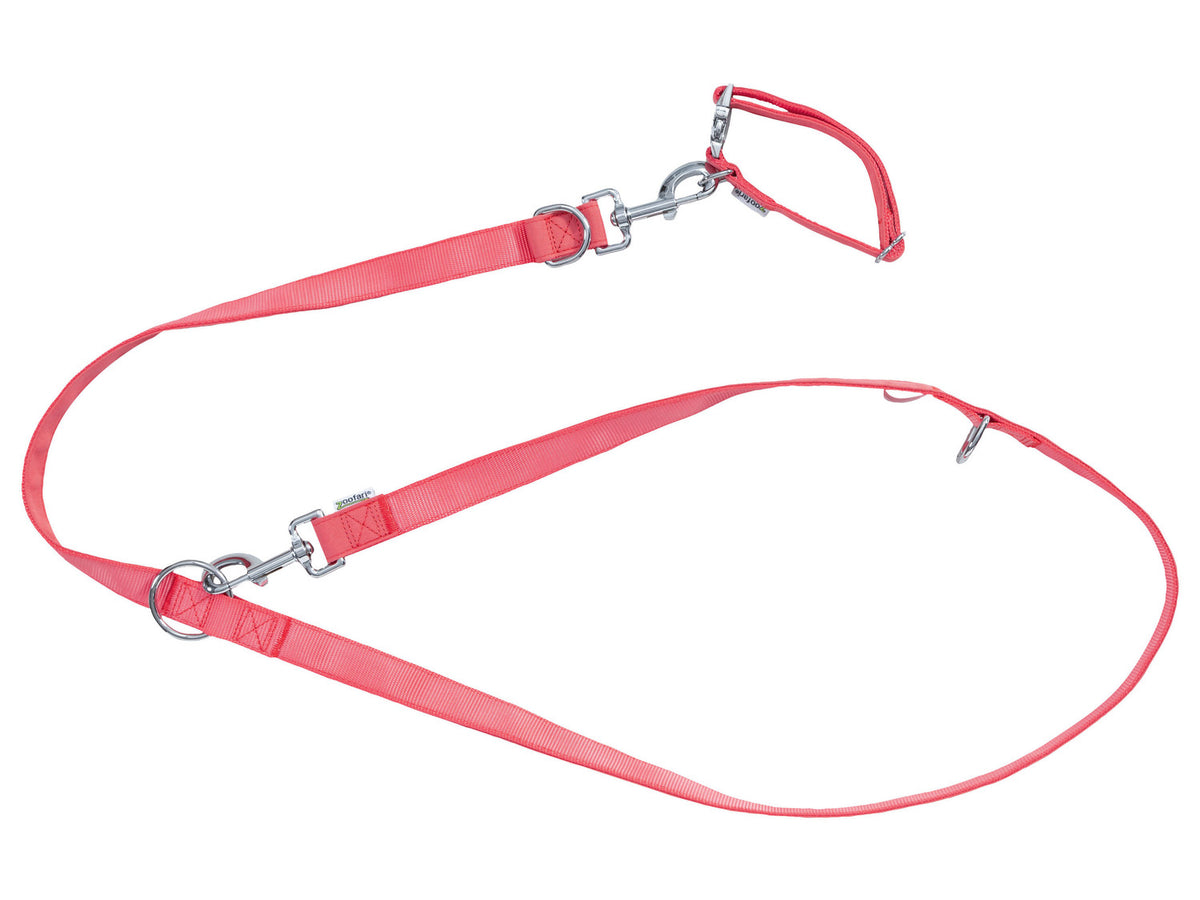 Collier et laisse pour chiens