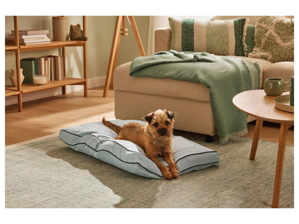 Coussin pour chien été-hiver Premium