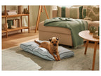 Coussin pour chien été-hiver Premium