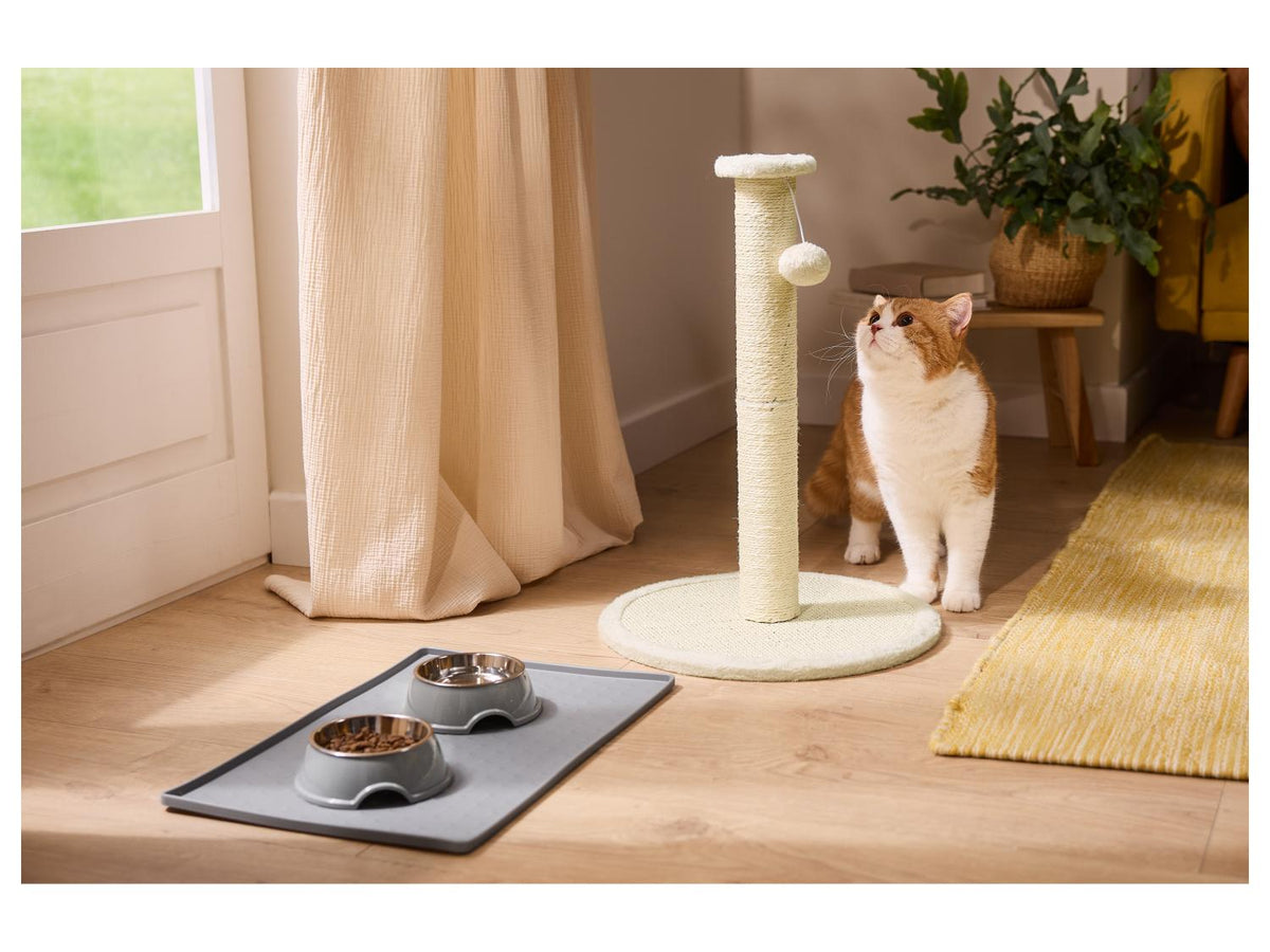 Gamelle d'eau et de nourriture / Tapis d'alimentation / Tapis de léchage