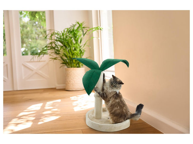 Griffoir palmier, Hamac ou Tipi pour animal domestique