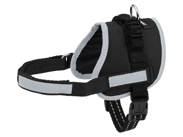 Harnais pour chien