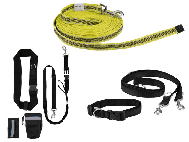 Laisse ou Collier avec laisse pour chien