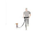 Laisse ou Collier avec laisse pour chien