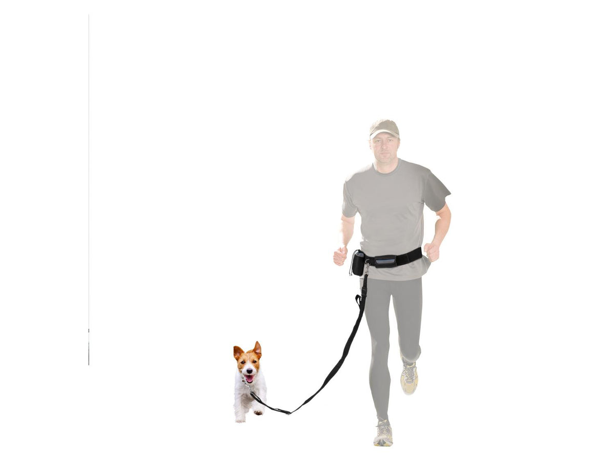 Laisse ou Collier avec laisse pour chien
