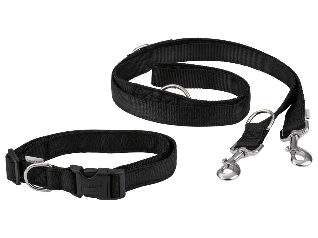 Laisse ou Collier avec laisse pour chien