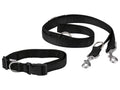 Laisse ou Collier avec laisse pour chien