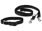 Laisse ou Collier avec laisse pour chien