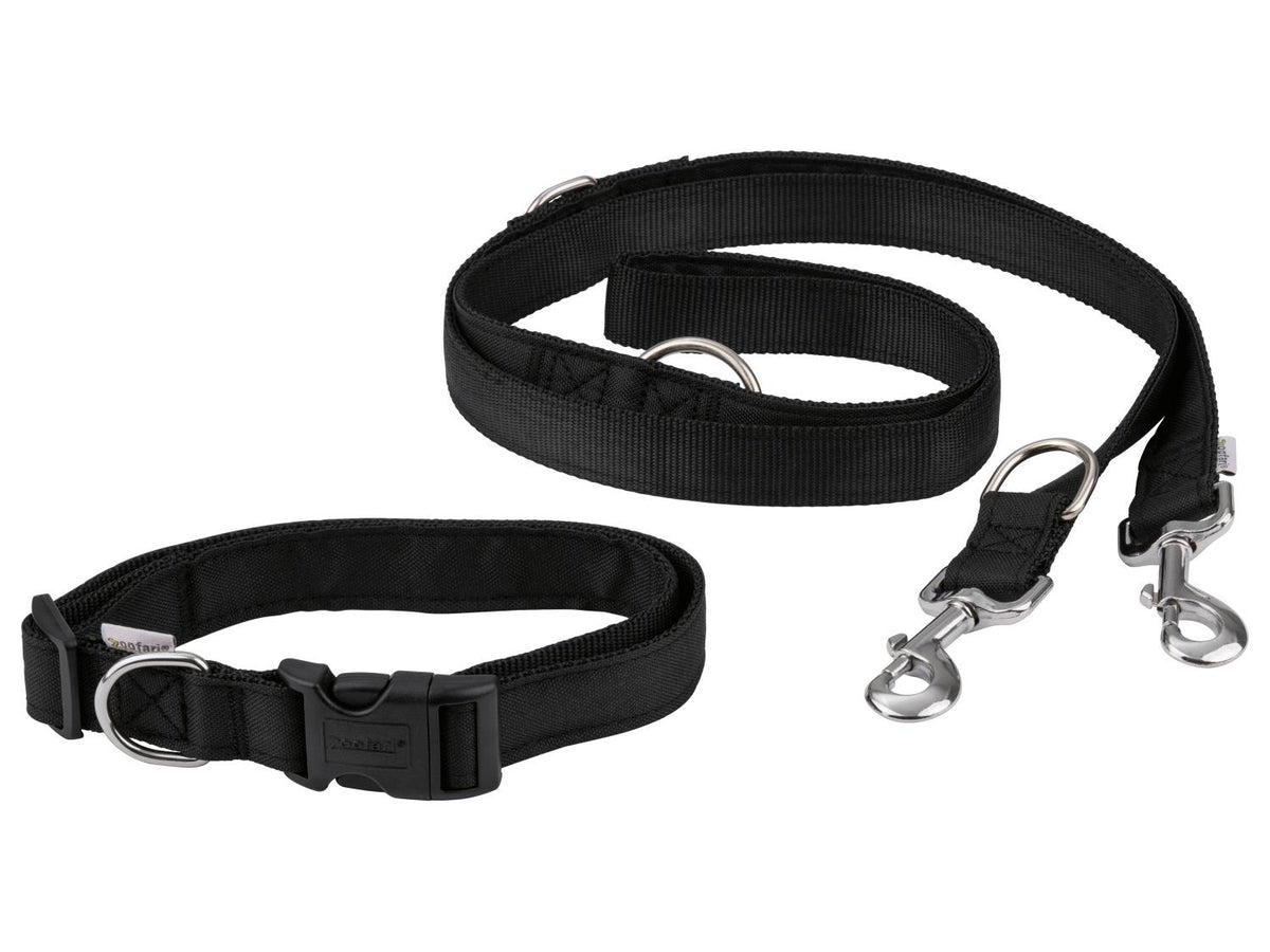 Laisse ou Collier avec laisse pour chien