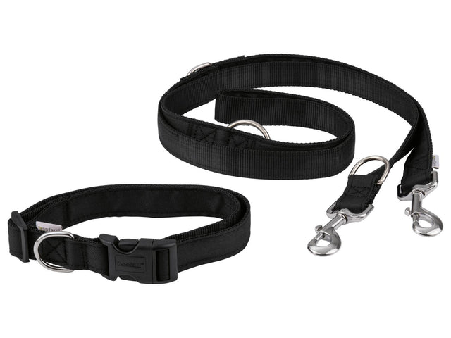 Laisse ou Collier avec laisse pour chien