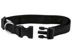 Laisse ou Collier avec laisse pour chien