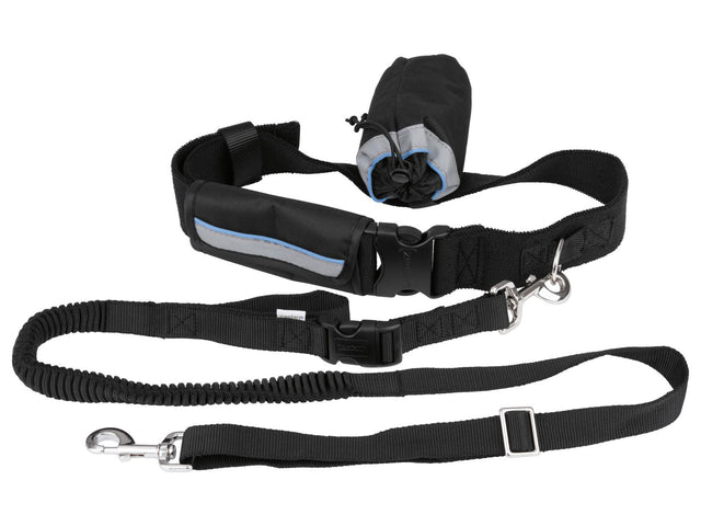 Laisse ou Collier avec laisse pour chien