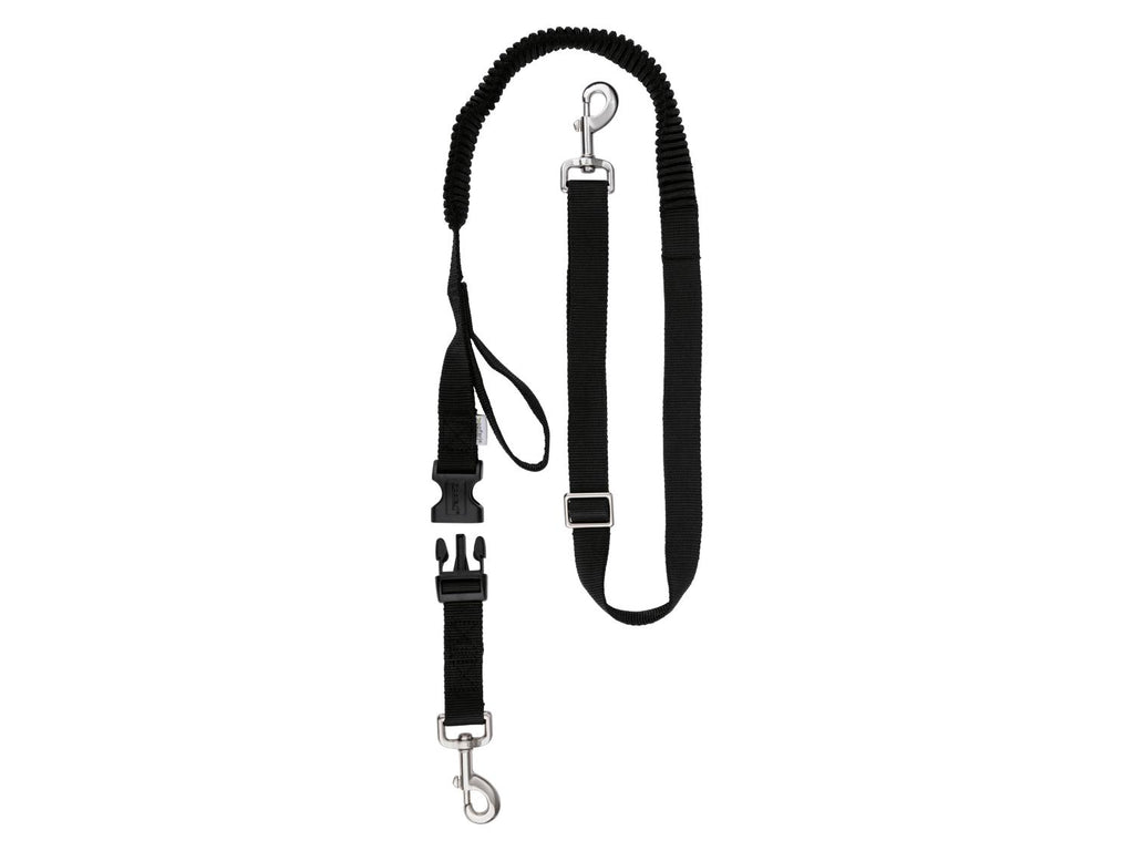 Laisse ou Collier avec laisse pour chien