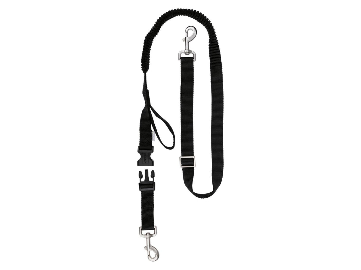 Laisse ou Collier avec laisse pour chien