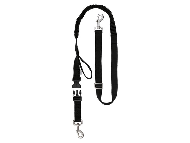 Laisse ou Collier avec laisse pour chien