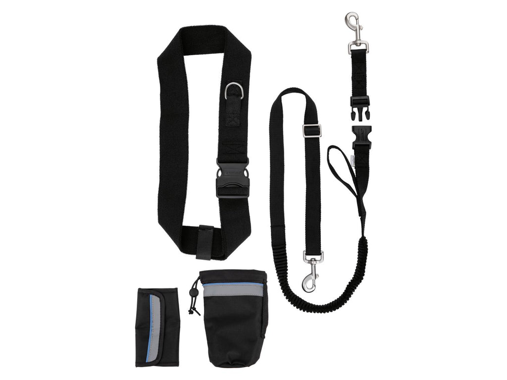 Laisse ou Collier avec laisse pour chien