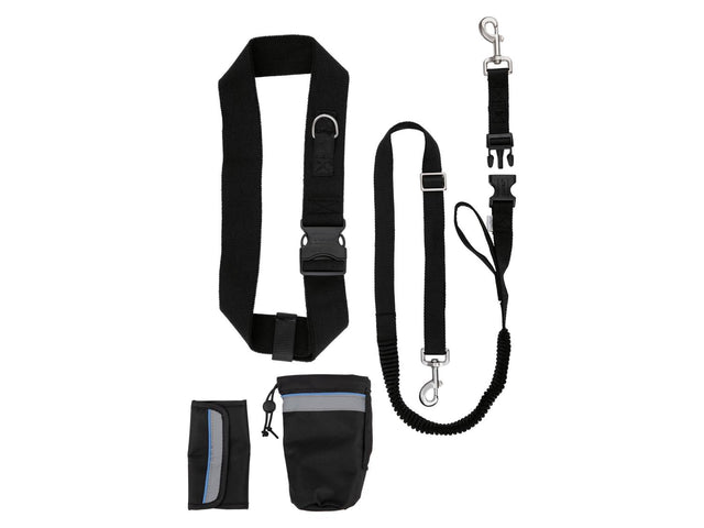 Laisse ou Collier avec laisse pour chien
