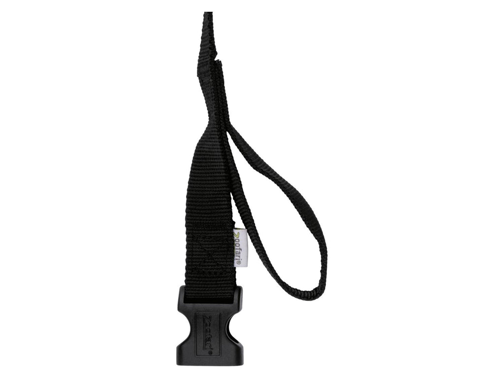 Laisse ou Collier avec laisse pour chien