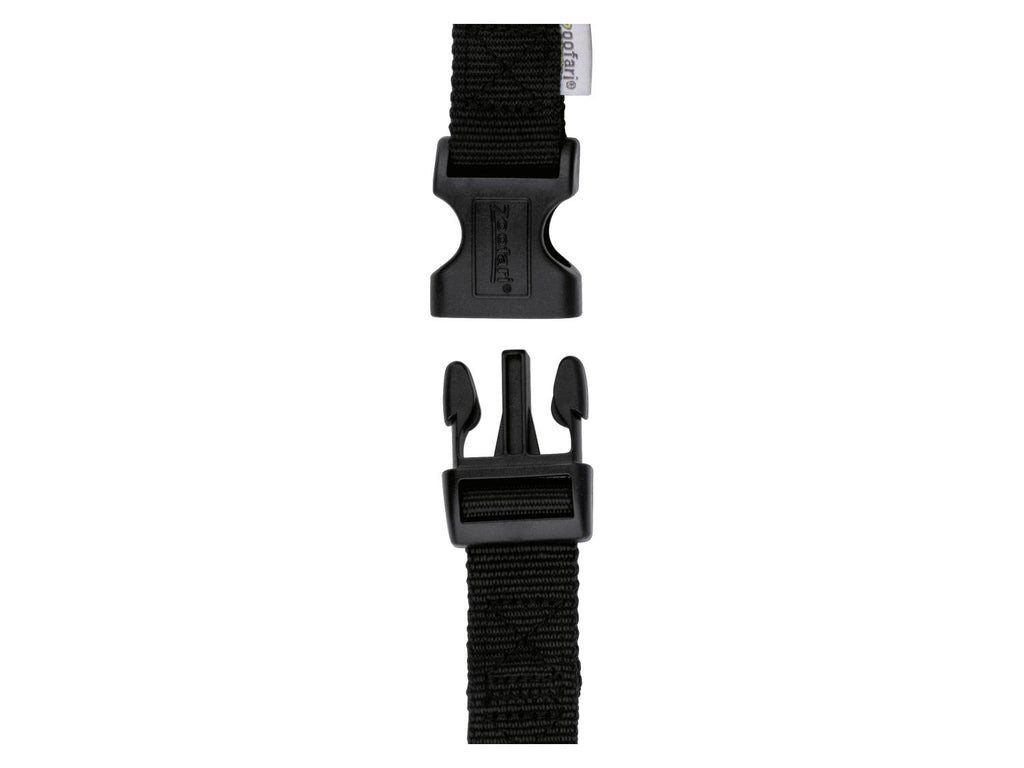 Laisse ou Collier avec laisse pour chien