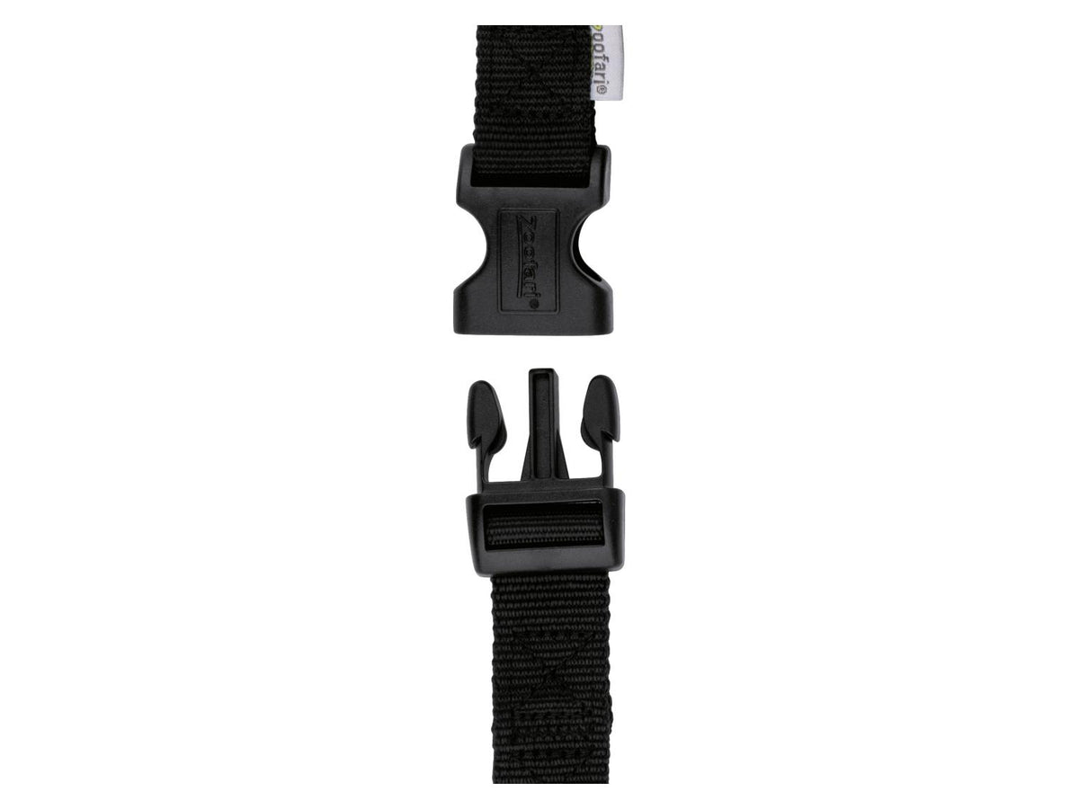Laisse ou Collier avec laisse pour chien