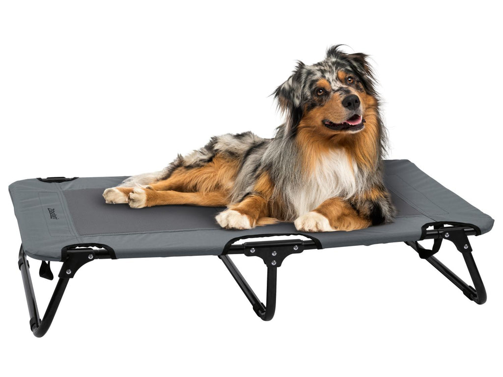 Lit de camp avec pare-soleil ou Panier pliant pour chien