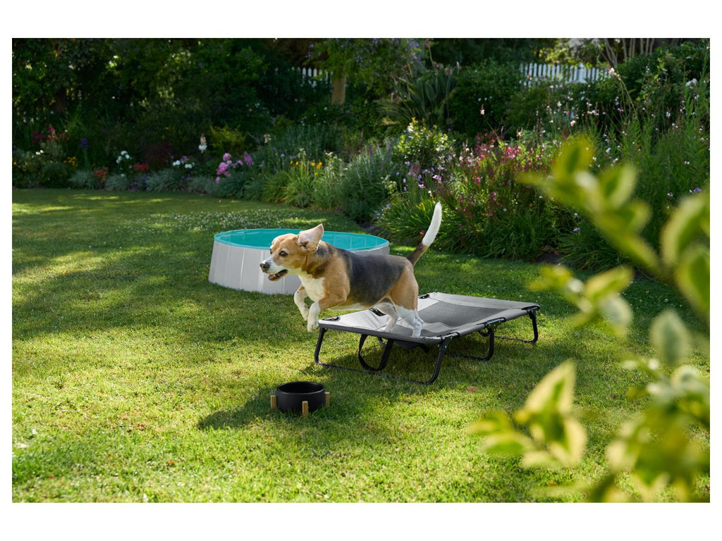 Lit de camp avec pare-soleil ou Panier pliant pour chien