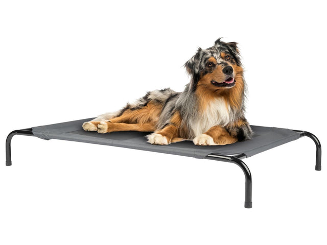Lit de camp pour animal domestique, 130 x 19 x 80 cm