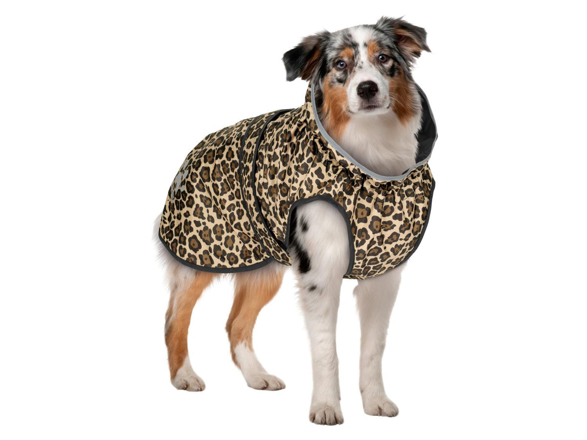 Manteau imperméable pour chien