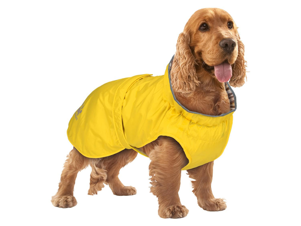 Manteau imperméable pour chien