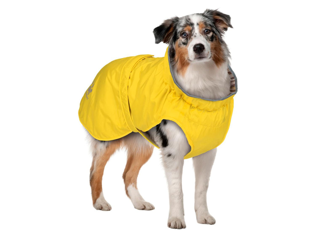 Manteau imperméable pour chien