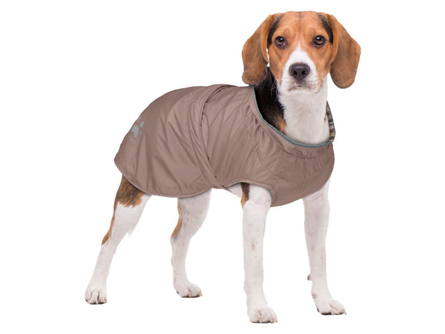 Manteau imperméable pour chien