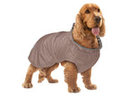 Manteau imperméable pour chien