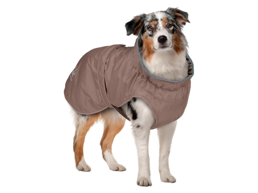 Manteau imperméable pour chien