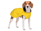 Manteau imperméable pour chien