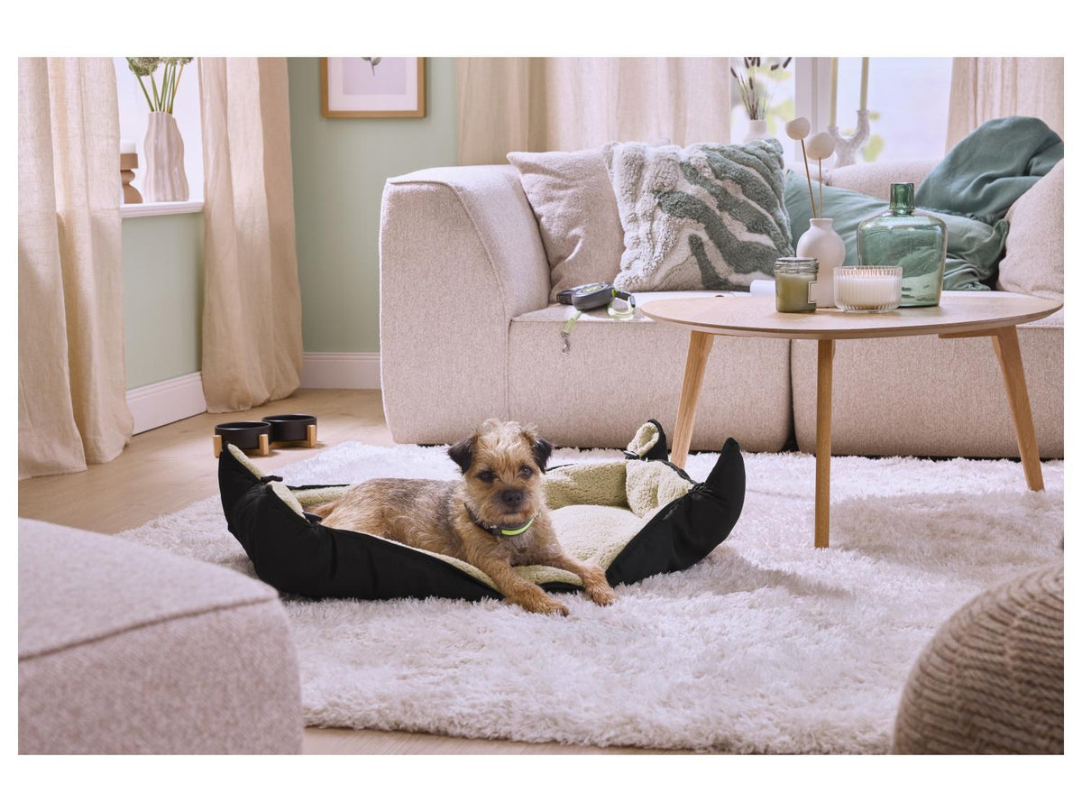 Panier pour chien