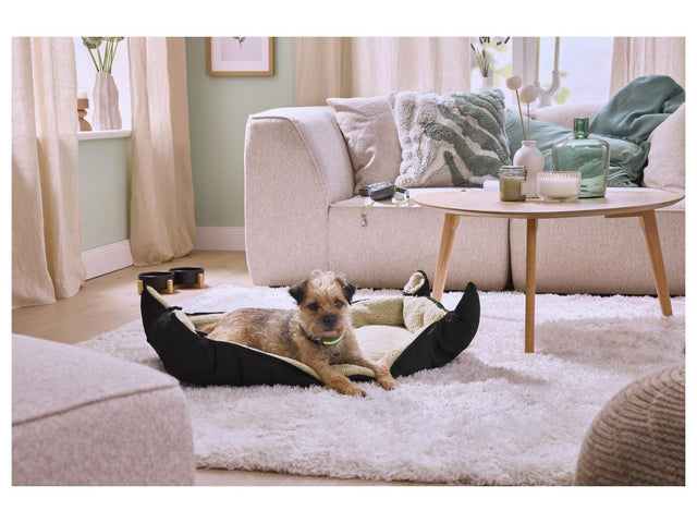 Panier pour chien