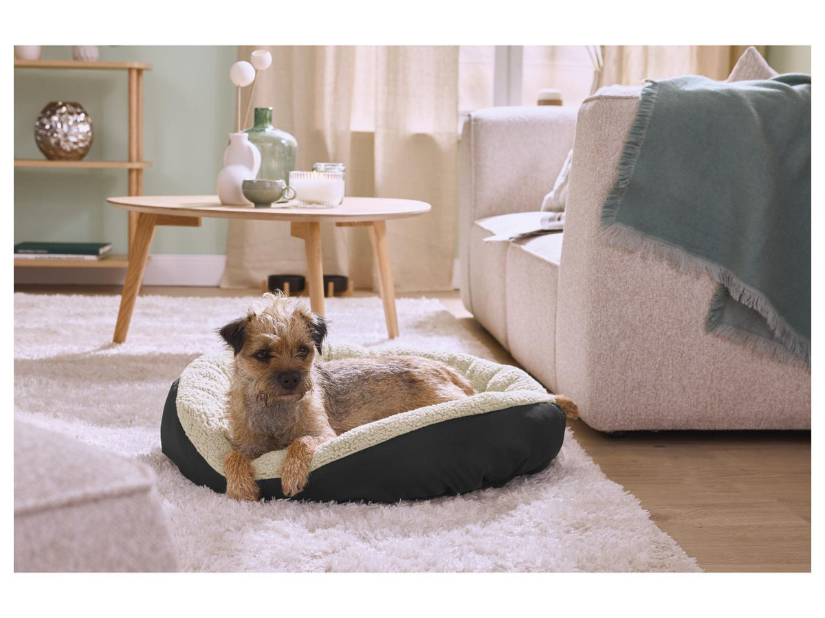 Panier pour chien