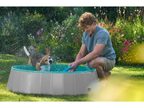Piscine pour chien, 120 x 30 cm