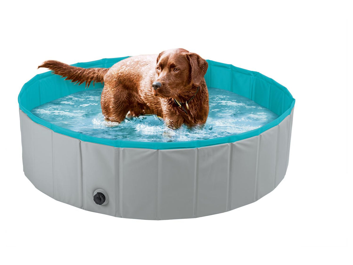 Piscine pour chien, 120 x 30 cm